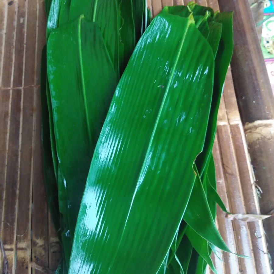 

[PROMO] 100gr Daun Bambu Segar Fresh Baru petik untuk kulit Bacang TERMURAHHH
