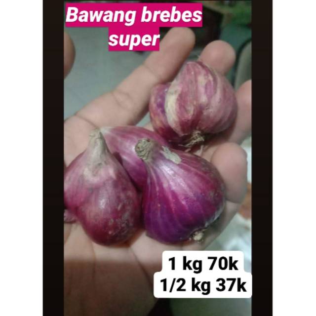 

Bawang brebes super