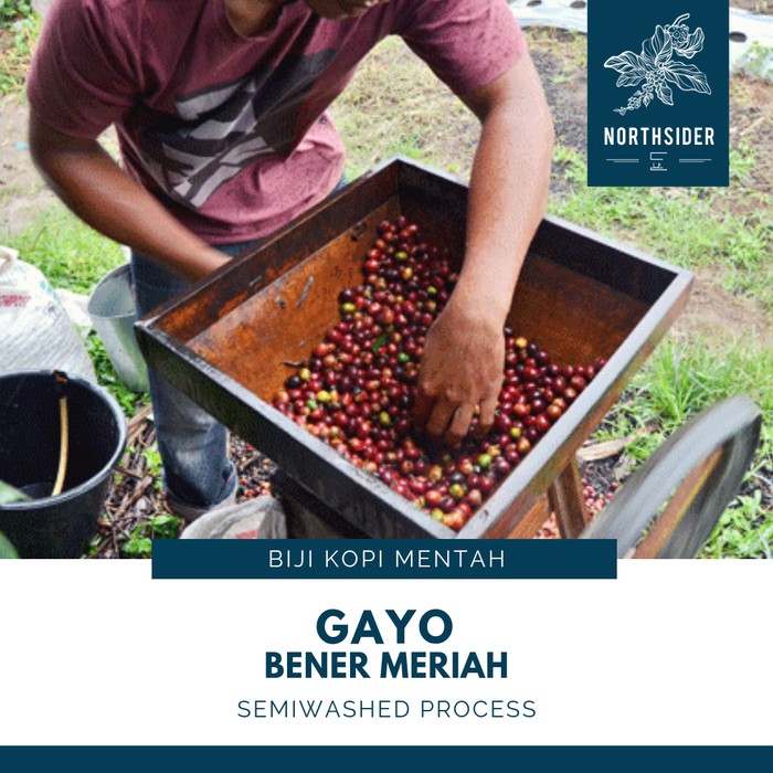 

KOPI ARABIKA ACEH GAYO SEMI WASHED - BIJI KOPI MENTAH NORTHSIDER - kkp479
