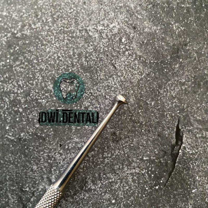 Dental burnisher schezher double ended