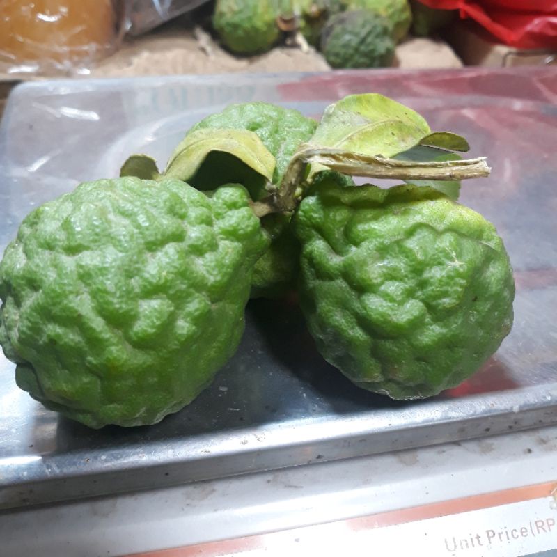 

jeruk purut tiga tangkay 1tangkay isi 3 jeruk