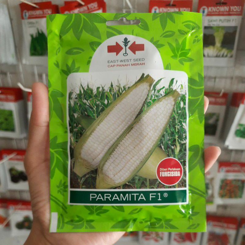 Bibit Jagung Ketan Putih PARAMITA F1 Isi 200 butir. Benih Jagung Ketan Putih Cap Panah Merah