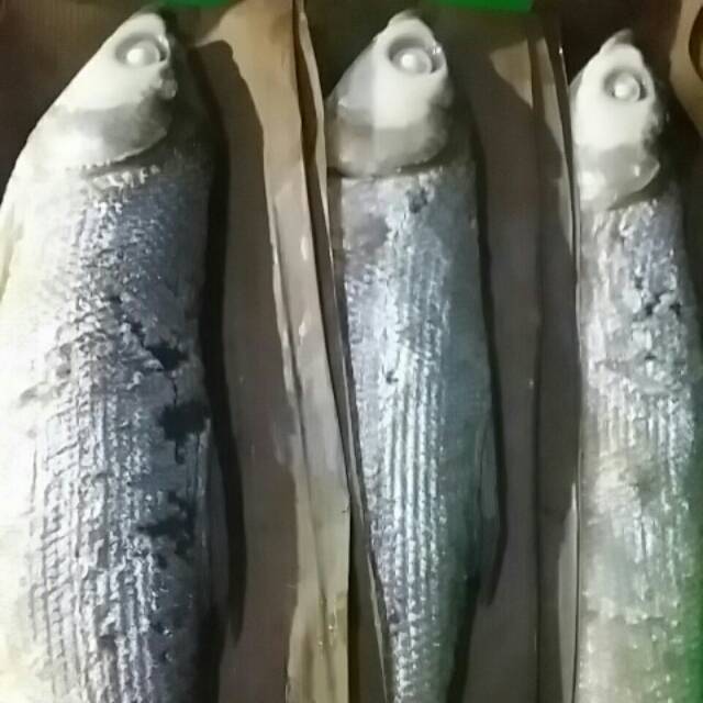 budisulistyani