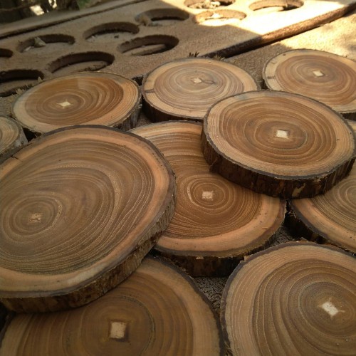 SLICE WOOD MENTAHAN AKAR KAYU JATI - TOP TABLE / TATAKAN POT AKAR KAYU JATI TOP TABLE CUSTOM BINTANG