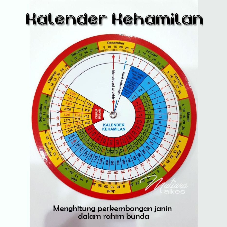 Kalender Kehamilan bumil - calender hamil menghitung usia janin