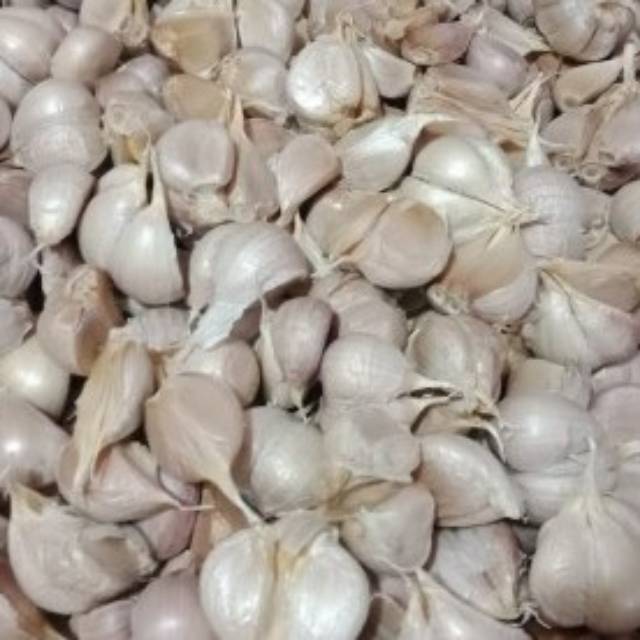 

Bawang Putih 100gr