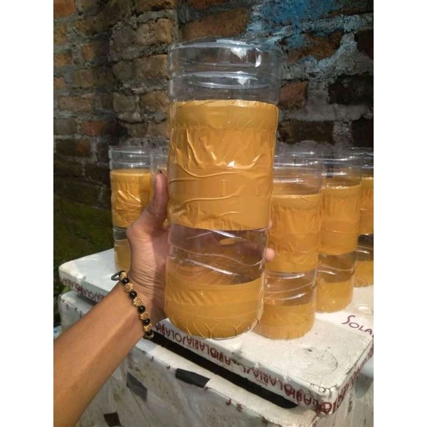 botol Aqua lakban ikan cupang 1,5lt