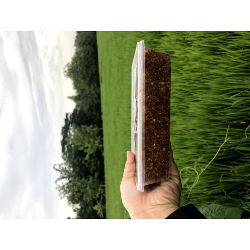 

Sambel pecel Mblora| sambel pecel kacang Blora|500 gram