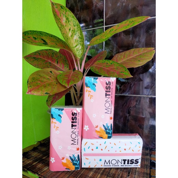 Montiss 150 sheet