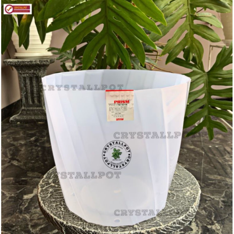 pot bunga tanaman tabitha twist flower bening transparan 25 - PRISMA 25 BENING