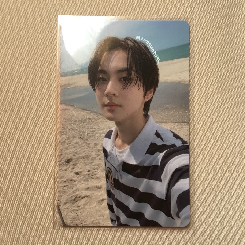 pc jungwon benefit tamed-dashed / bene td / bene t-d