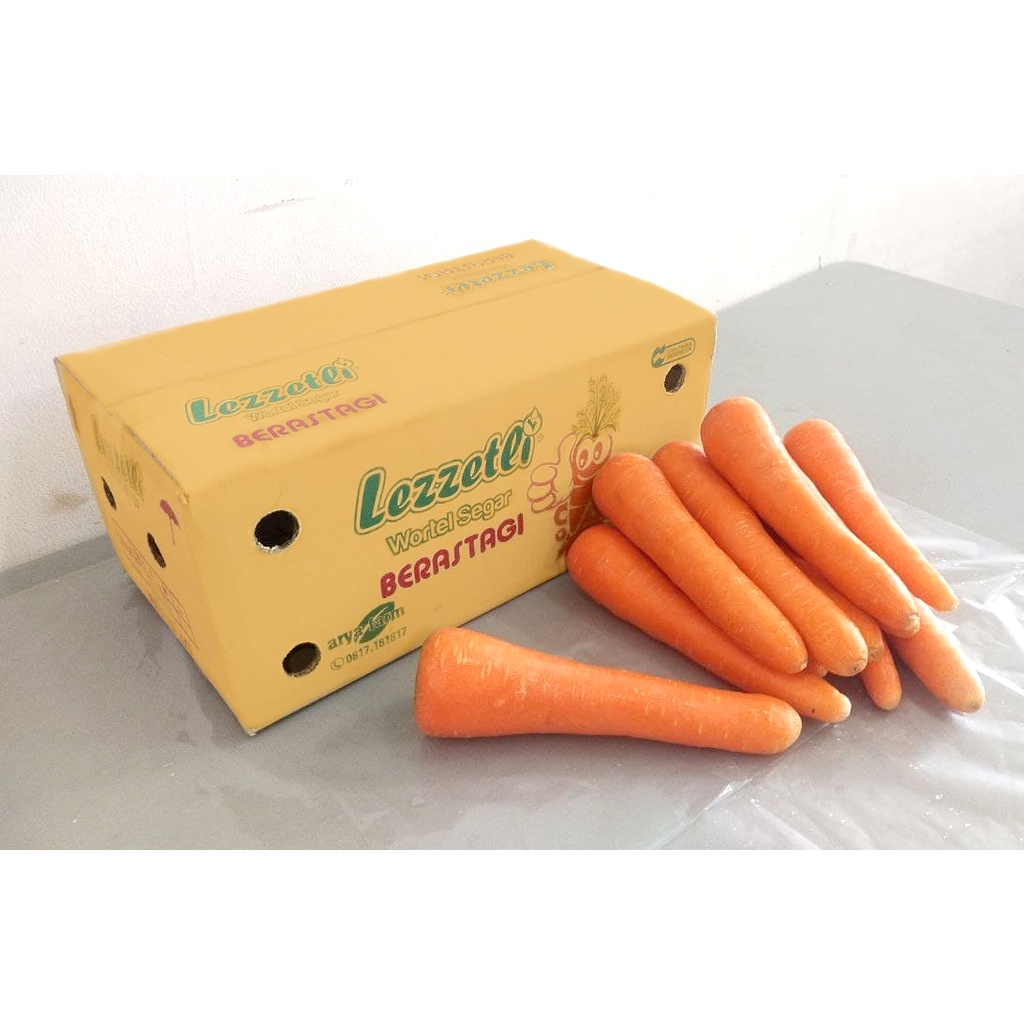 

LEZZETLI WORTEL BERASTAGI SIZE L 100kg