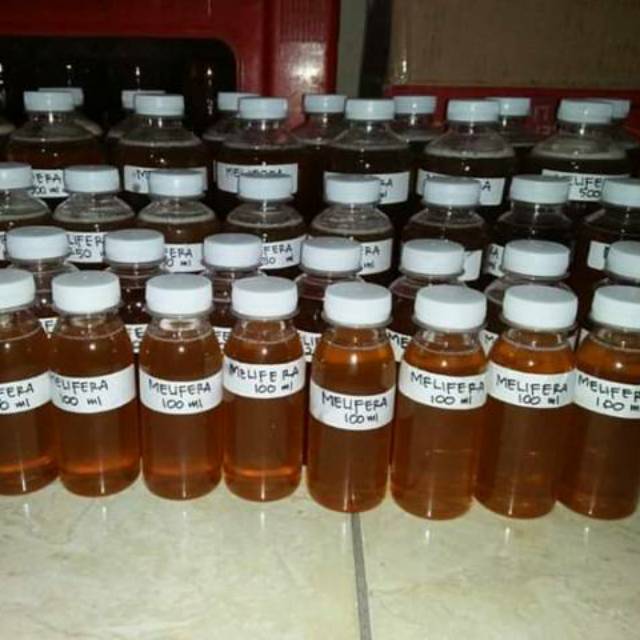 

Madu Mellifera