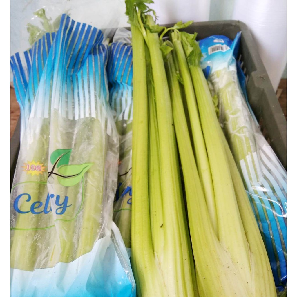 

CELERY STICK SELEDRI STIK FRESH IMPORT PER DUS