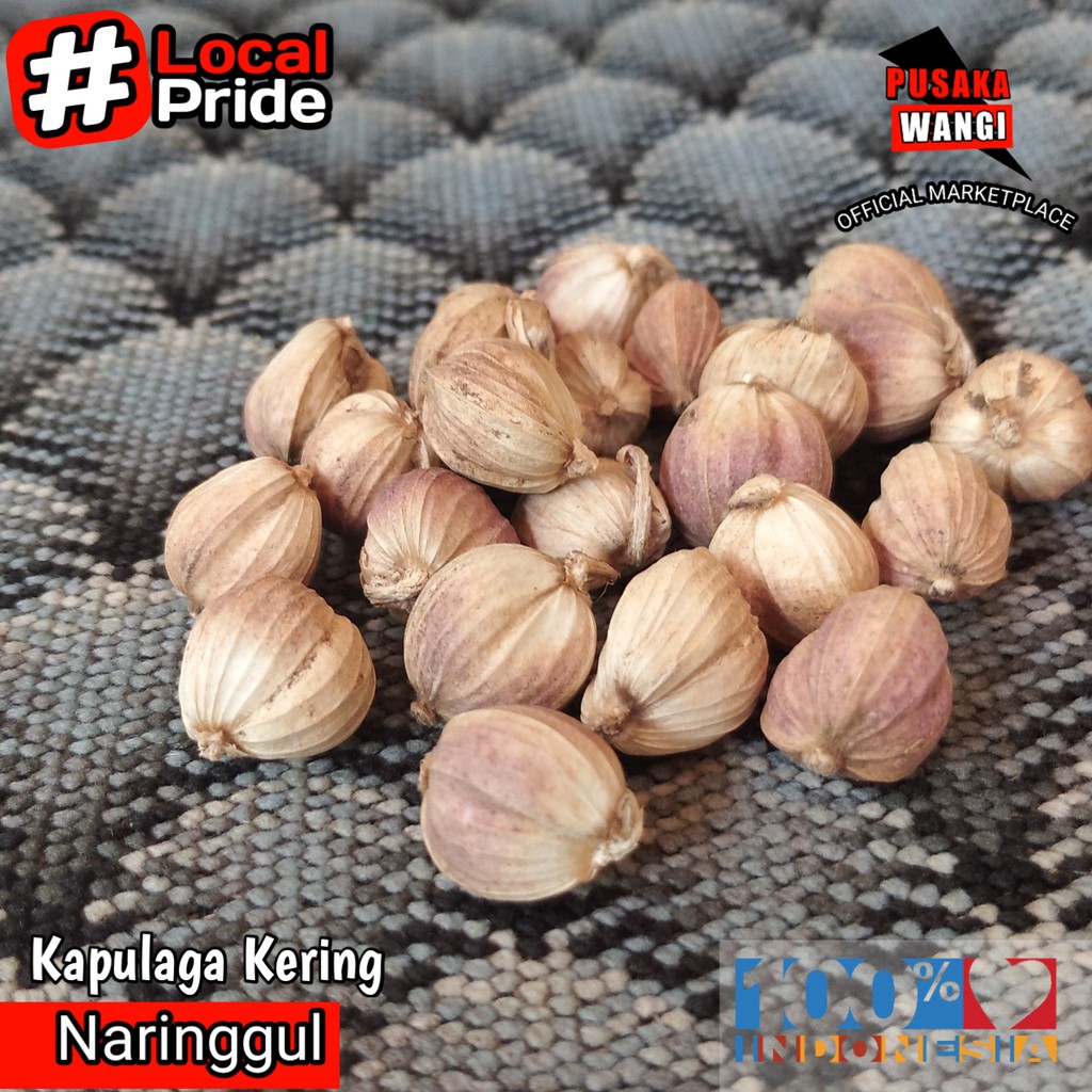 

Kapulaga 100gr Kapulaga Jawa Cardamon Kapol Kering Best Quality