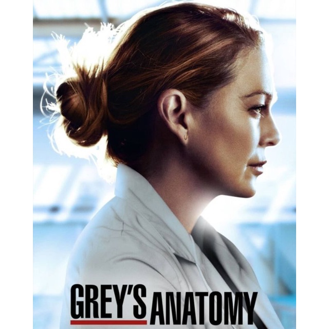 Grey's Anatomy season 17