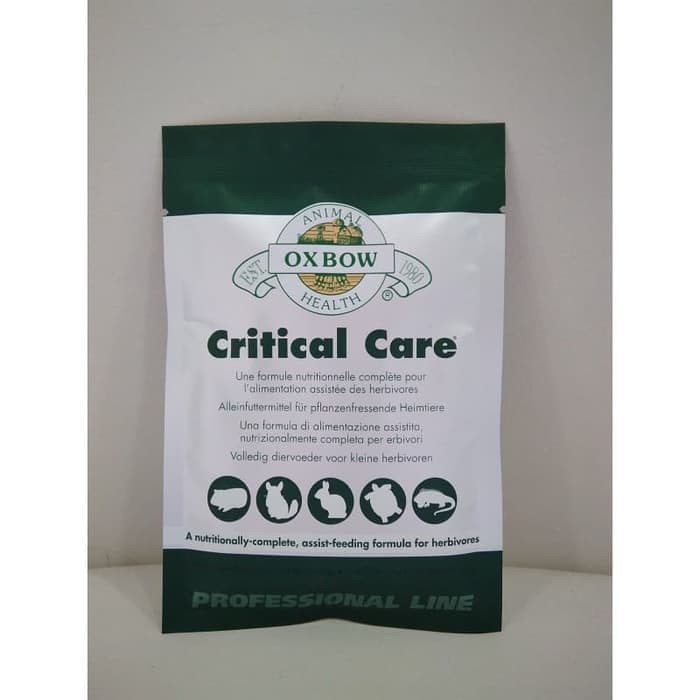 are there any male calico cats