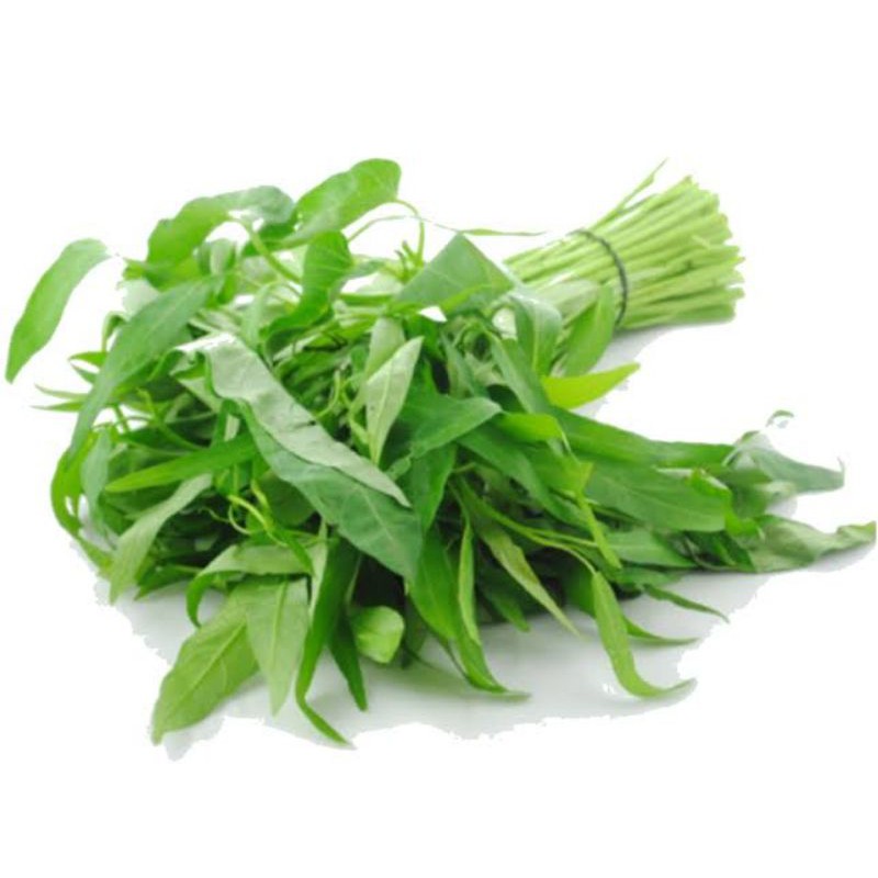 

KANGKUNG per 1 IKAT
