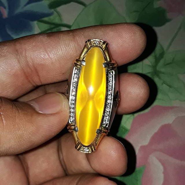 

KUNING GOLKAR RAFFLESIA BENGKULU
