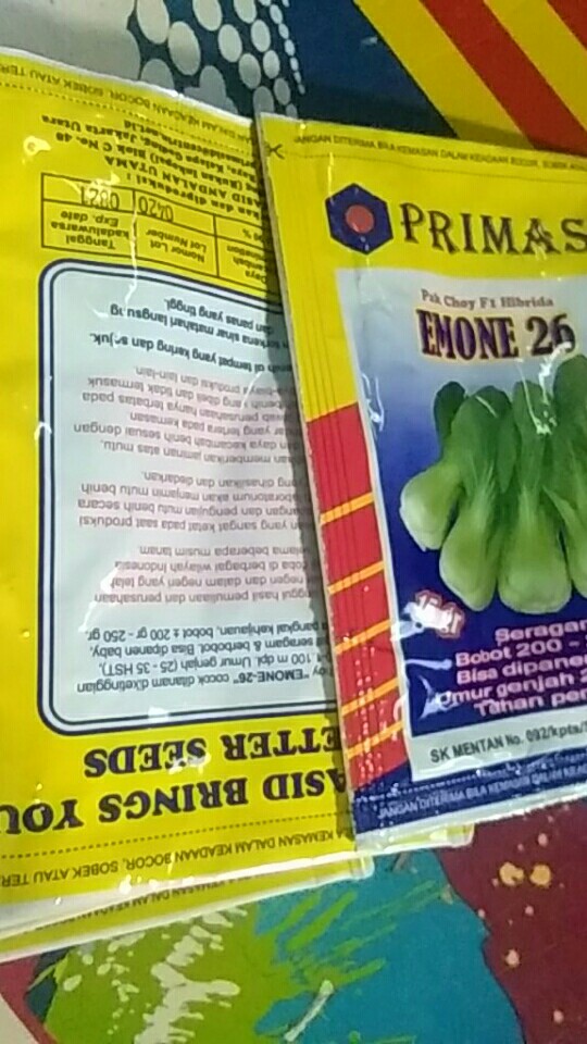 Benih/bibit Sawi Emone 26 F1