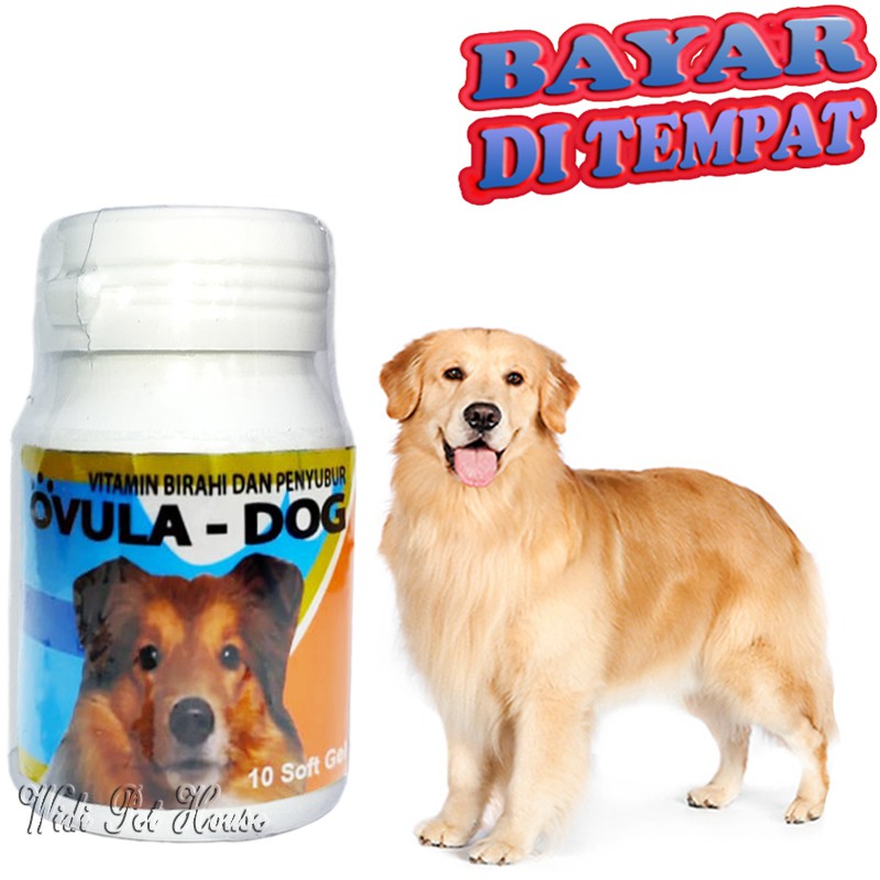 Vitamin anjing OVULA DOG SOFTGEL Pelancar Kawin Penyubur Birahi