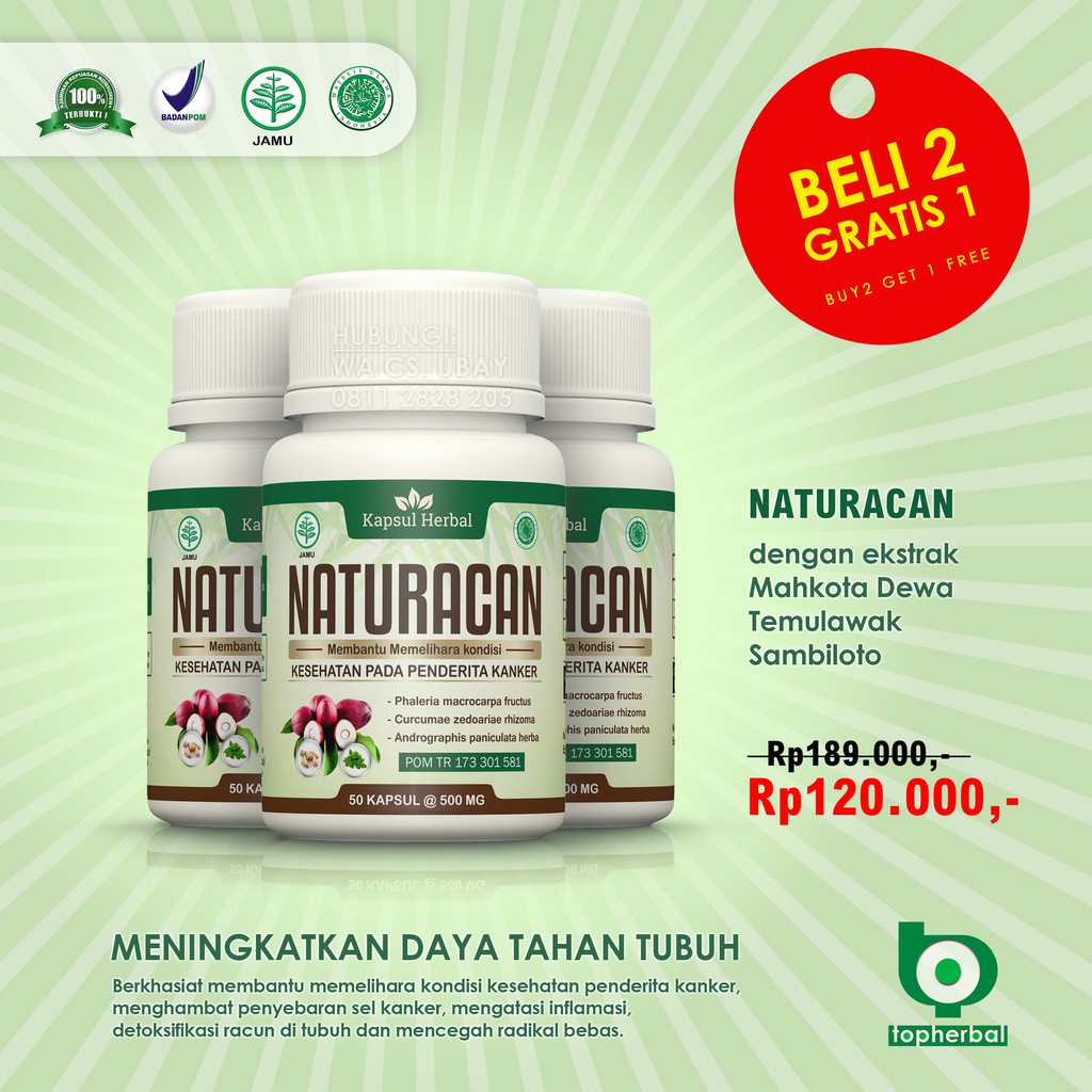 Obat Herbal Bpom Naturacan Untuk Meningkatkan Daya Tahan Tubuh Penderita Kanker Shopee Indonesia