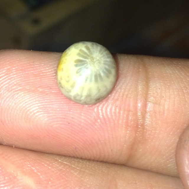 batu natural teratai tunggal