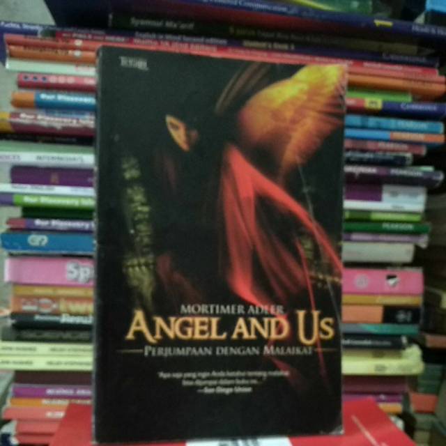 Original novel angel in us