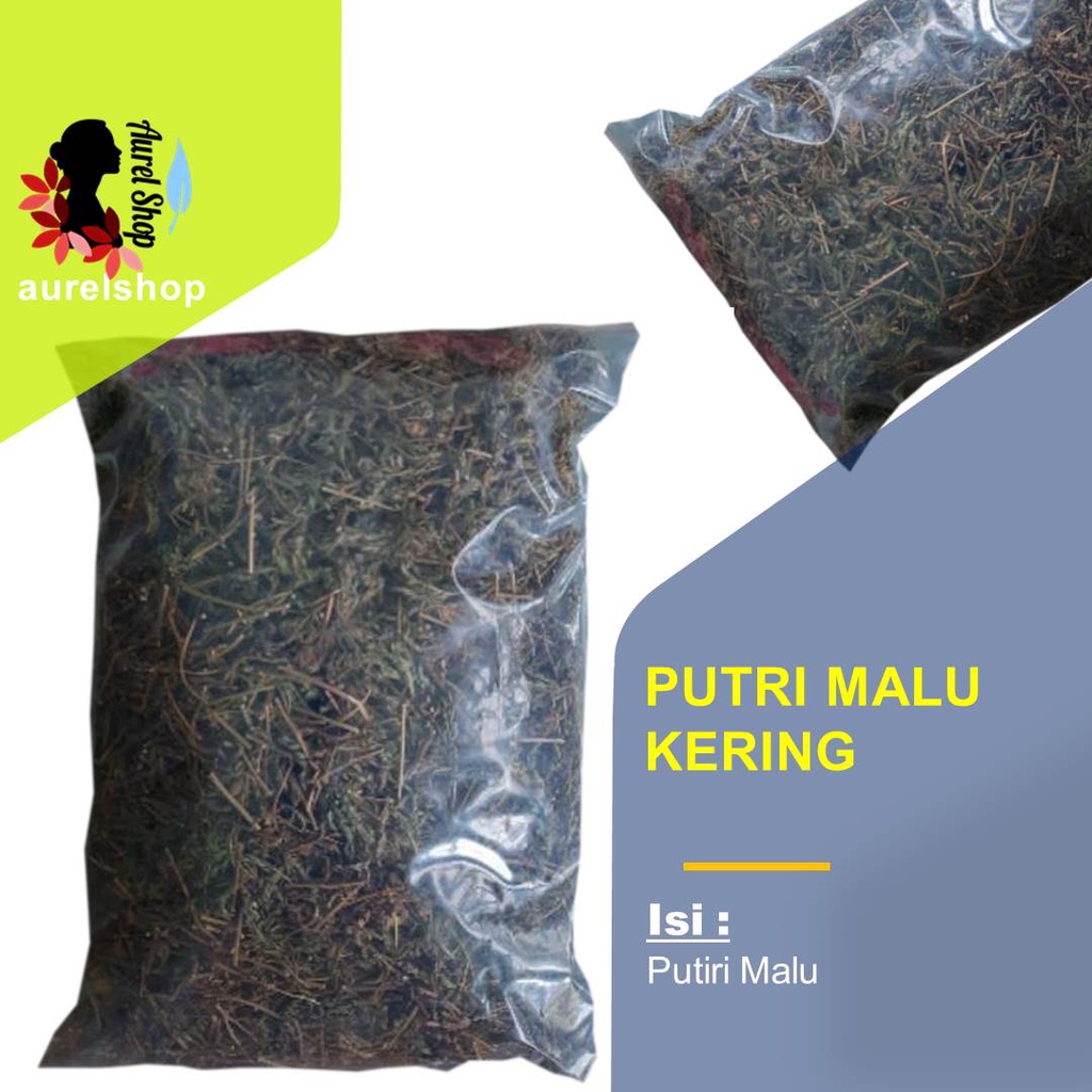 

Daun Putri Malu Kering 1 kg