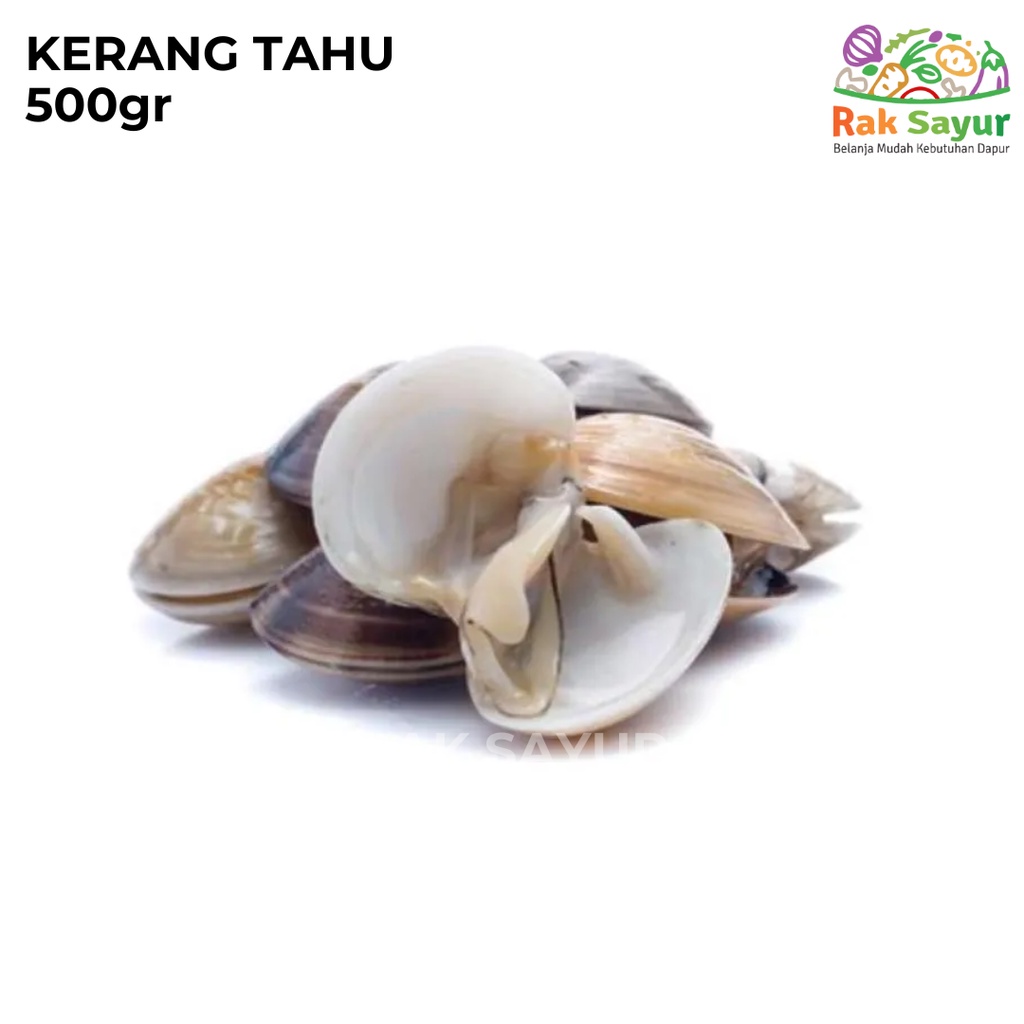 

Kerang Tahu 500gr Kerang Kepa Sefood Segar Frozen Rak Sayur Padang