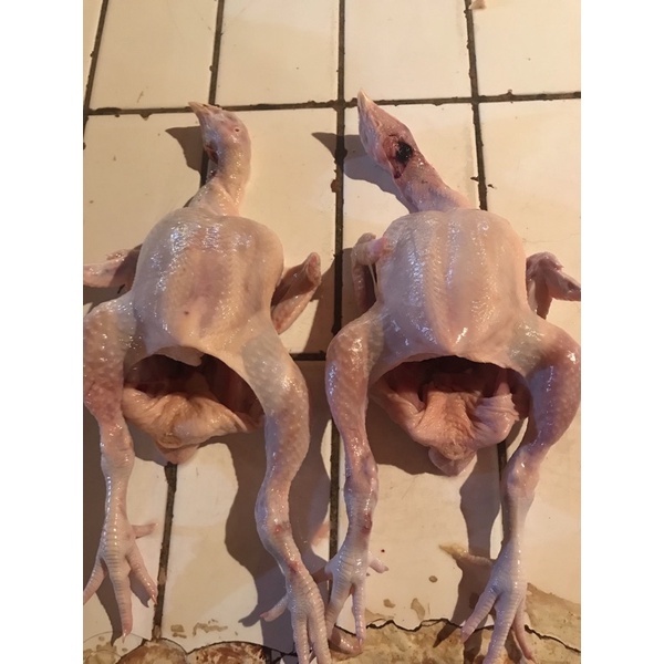 

Ayam Potong