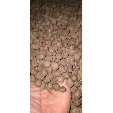 katak porang dorman lokal madiun.,,,1kg isi20_350