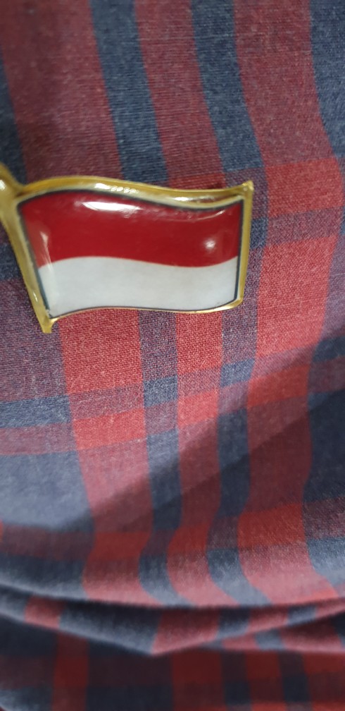 Pin Bendera Indonesia Berkibar Pin Bendera Merah Putih Berkibar 2.5cm Kuningan Paku Satuan