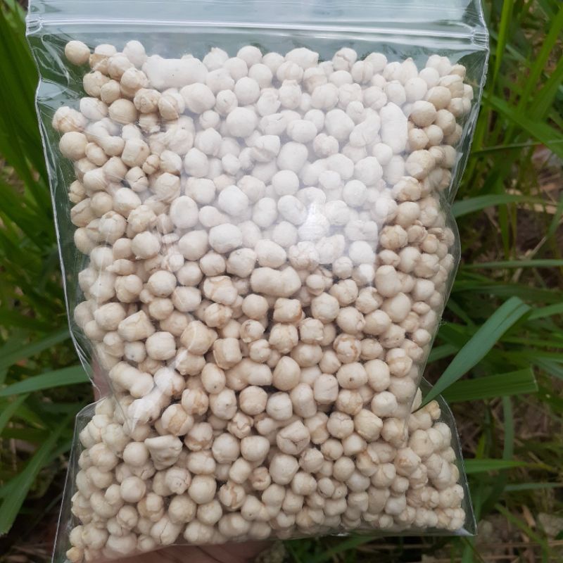 

PILUS TIKTAK KENCUR / TOKOKIK16
