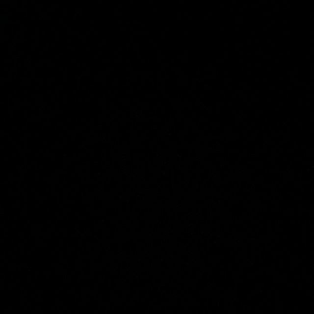 Tanaman Hias Melati Kaca Piring Harum / Melati Kaca Piring / Melati Kaca Piring