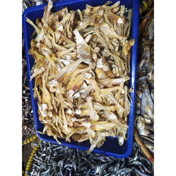 

Ikan Bada Gelagah Putih Tawar