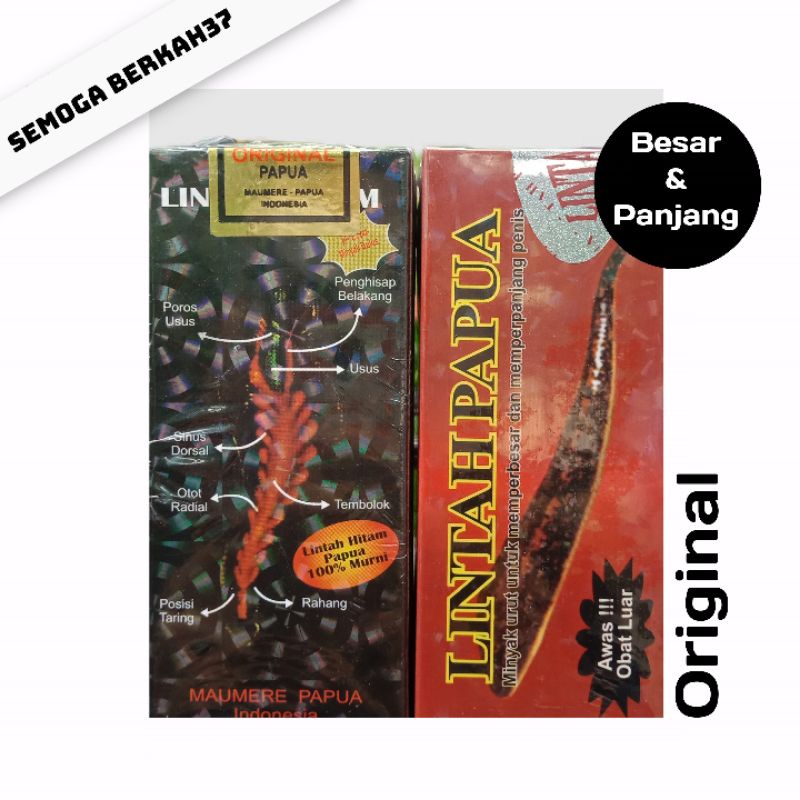 Minyak Lintah Asli Papua