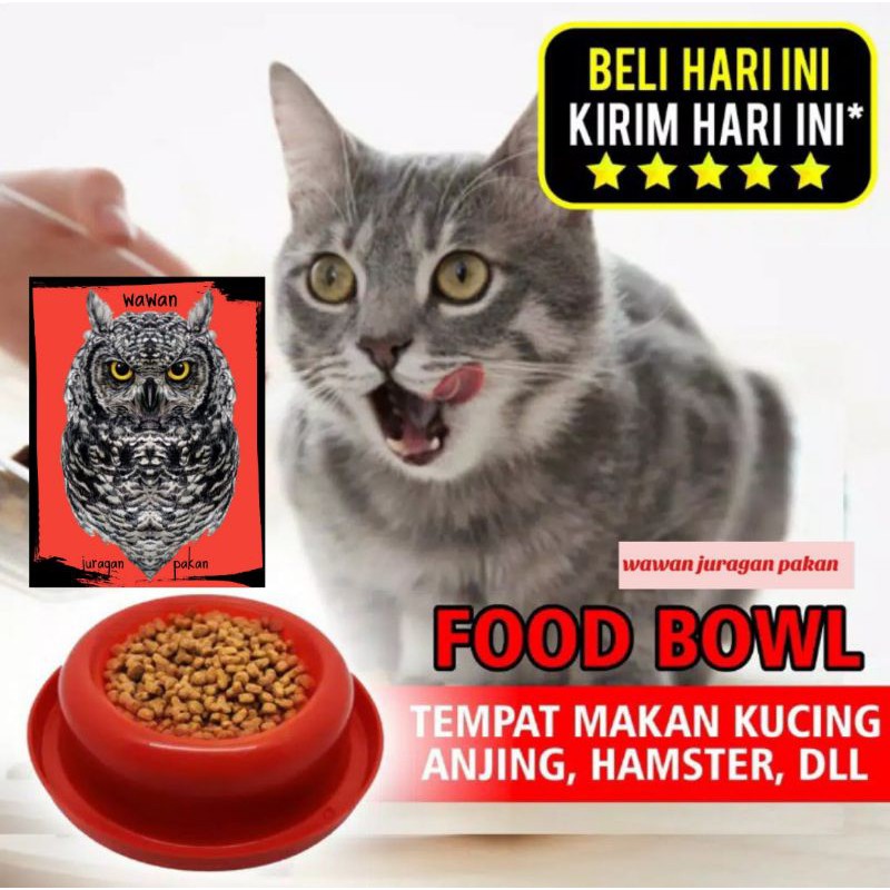 tempat makan kucing, hamster, anjing dll