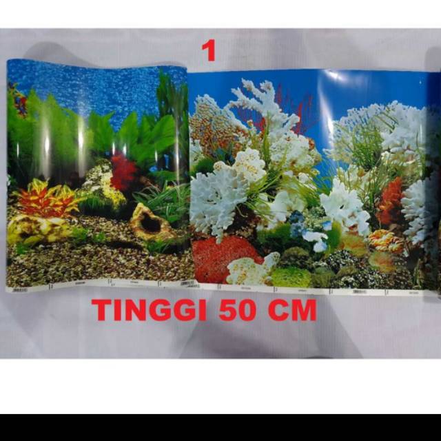 Background / Latar belakang aquarium