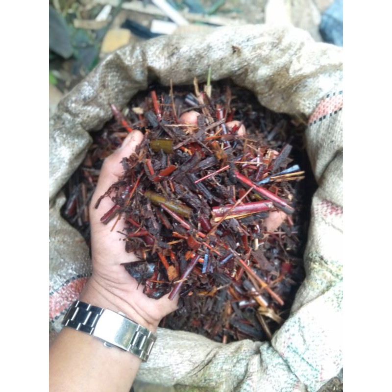 Pupuk-pupuk / Media Tangaki Andam Cocok Untuk Media Tanaman Hias