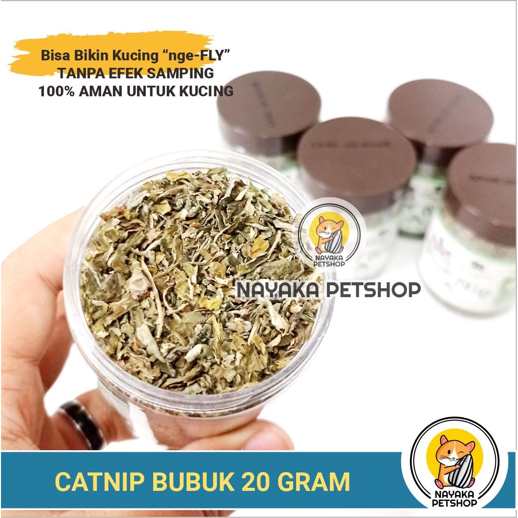 Catnip Serbuk Bubuk Cat Nip Kucing Kitten Catmint Powder