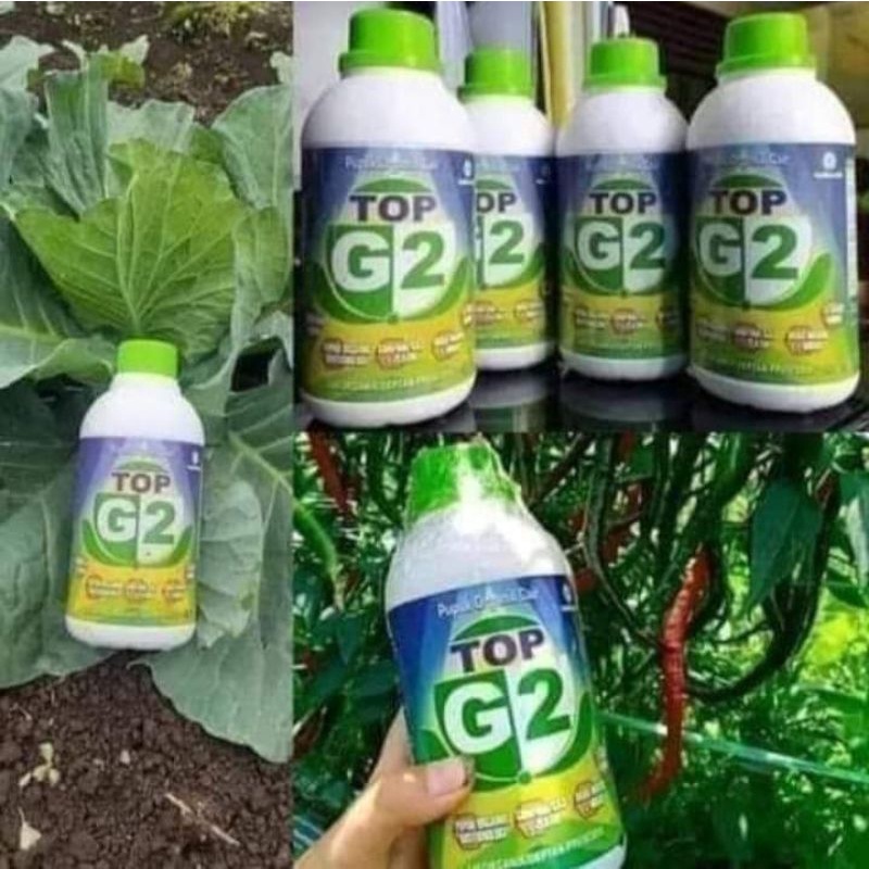 6 BOTOL PUPUK TOP G2