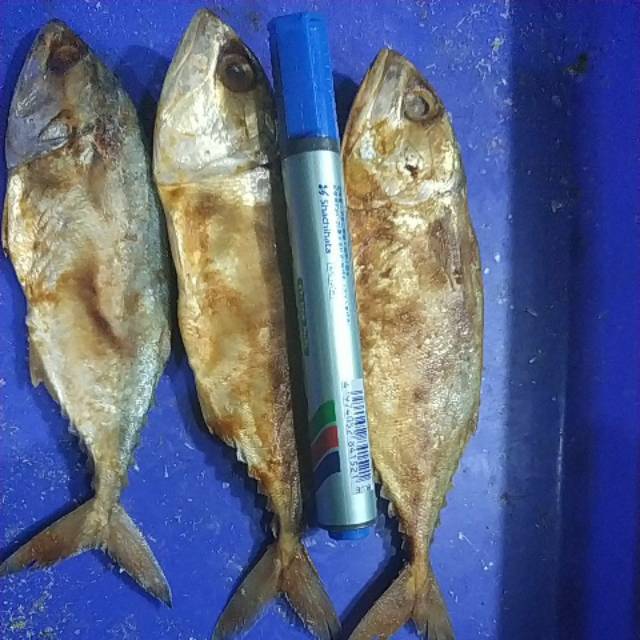 

Ikan Asin Peda Merah 1 Kg