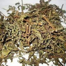 

DAUN KUMIS KUCING PREMIUM HERBAL / obat batu ginjal dan infeksi saluran kencing herbal 500 gram