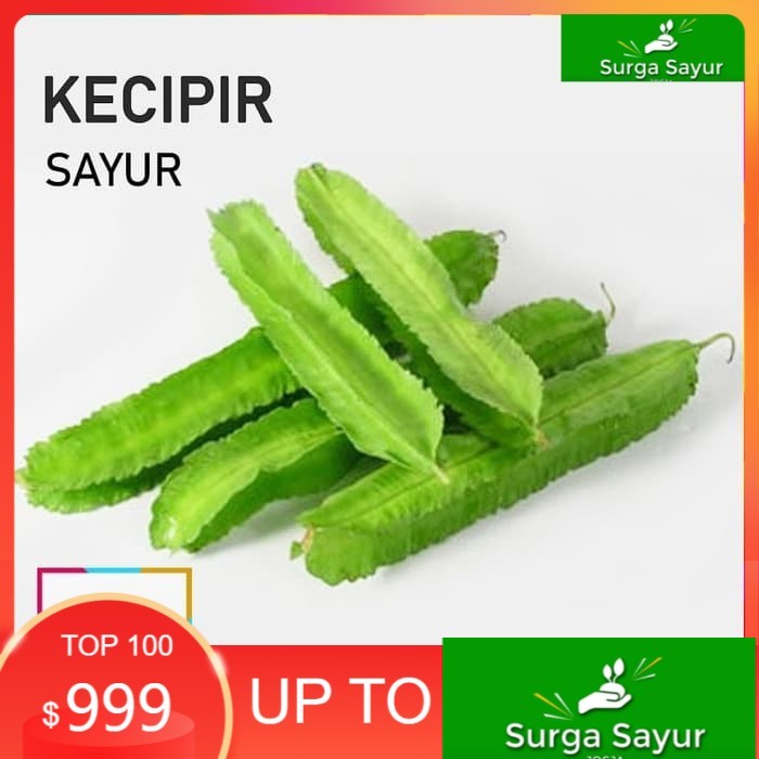 

SURGA SAYUR KECIPIR SAYUR [±100g] SEJABODETABEK BISA INSTANT MENGGUNAKAN GOSEND &GRAB.