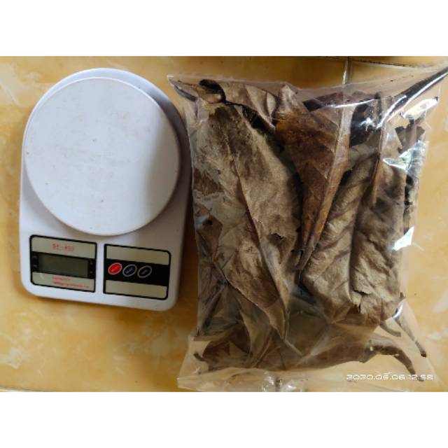 Jual Daun Ketapang Laut Kering Gram Shopee Indonesia