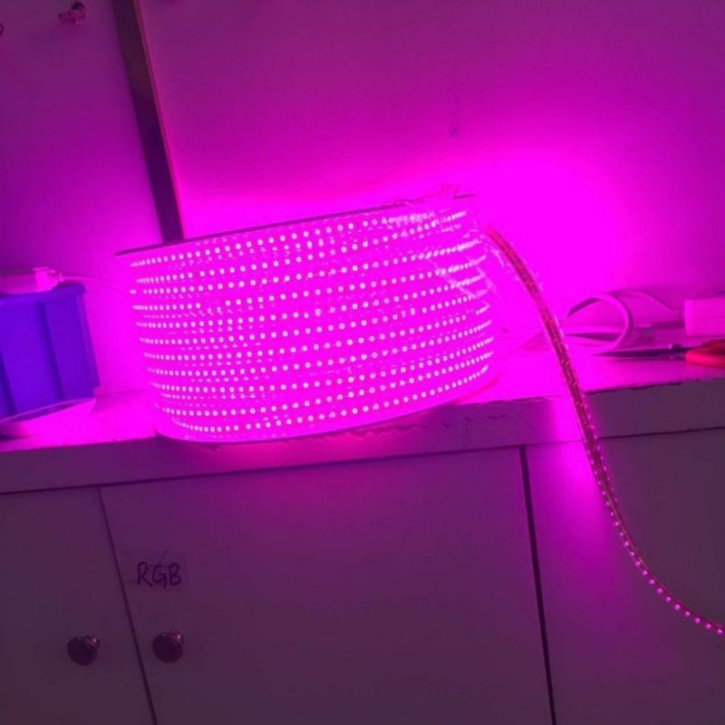 Lampu LED STRIP METERAN PINK / UNGU SMD 5050-60D waterproof AC 220V