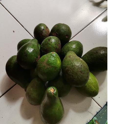 

【PRICE SLASH】 Alpukat mentega |Promo!!!|launching|New!