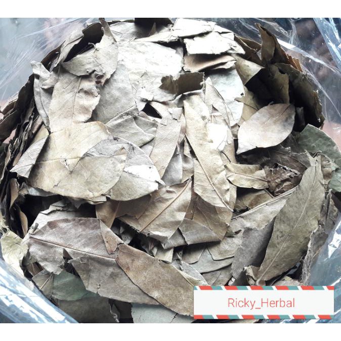 

Silahkan Order Daun Sirsak Kering 1 Kg