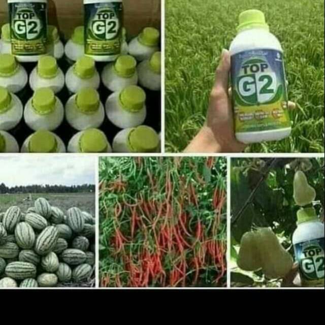 Pupuk cair top G2